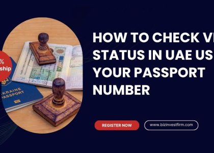 check visa status with passport number
