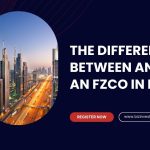 Difference Between an FZE and an FZCO in Dubai